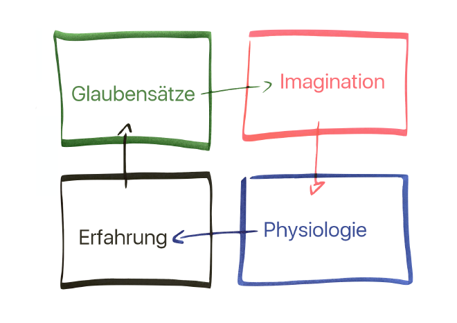 Der Reality Loop: Imagination, Physiologie, Erfahrung, Glaubenssätze